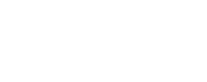 Invasión, insurrección — Logos 4