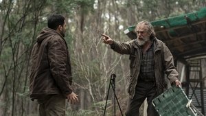 The Rooster ( 2024 )