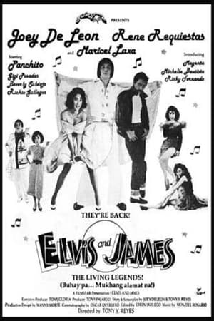 Poster Elvis & James 1989