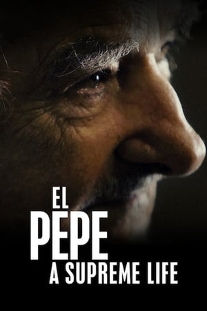 Poster El Pepe: vrcholový život 2019