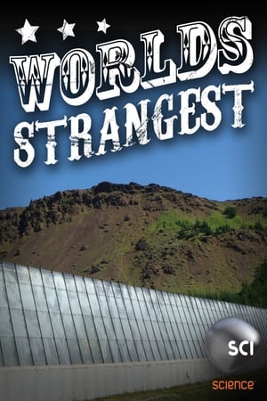 Image World's Strangest