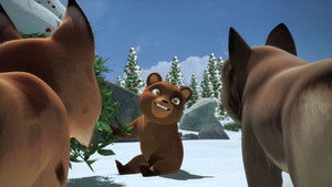 La plante de l'ours Esprit