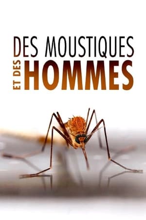 Poster Des Moustiques et des Hommes (2022)