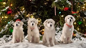 Patas Natal 2 – Os Cachorros do Natal