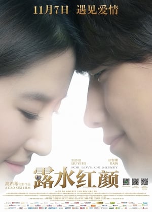 Poster 露水红颜 2014
