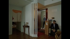 Sweet Osmanthus Flowering Late (2024)