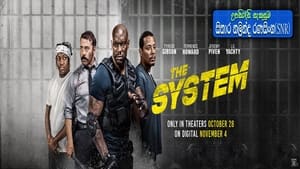 The System (2022) Sinhala Subtitles | සිංහල උපසිරසි සමඟ