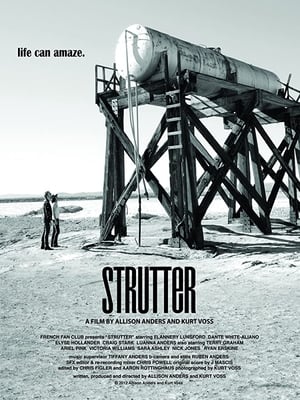 Poster Strutter (2013)