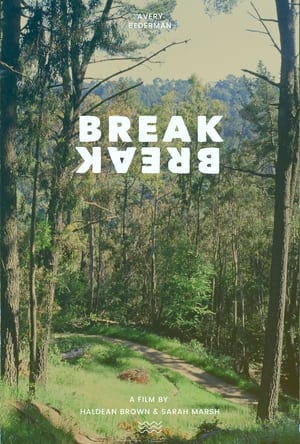 Poster Break Break (2023)