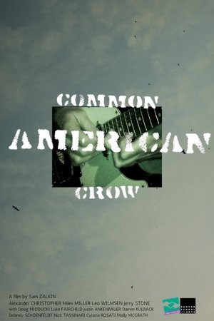 Image Common American Crow
