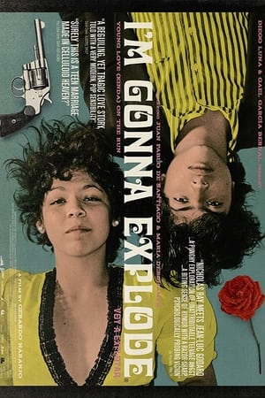 Poster I'm Gonna Explode (2008)