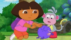 Dora the Explorer Baby Winky Comes Home