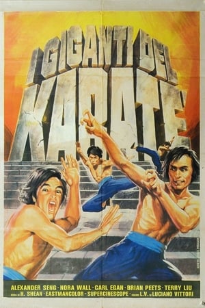 Poster I giganti del karaté 1976