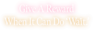 Give A Reward When It Can Do ‘Wait.’