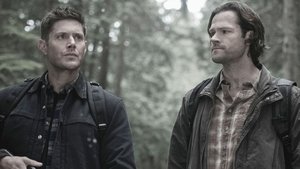 Supernatural 13×21