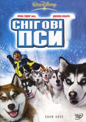 Image Снігові пси