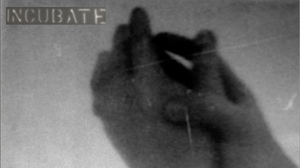 Incubate
