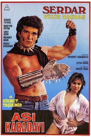 Poster Asi Kabadayı (1986)