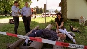 Die Rosenheim-Cops Season 11 Episode 13