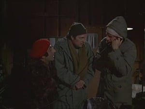 M*A*S*H: 4×5