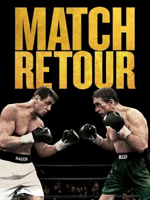 Poster Match Retour 2013