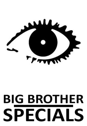 Big Brother: Odcinki specjalne