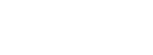 Control de aeropuertos: USA — Logos 4