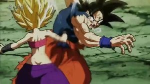 Dragon Ball Super: Season 1 Episode 113