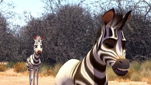 Khumba – Das Zebra ohne Streifen am Popo