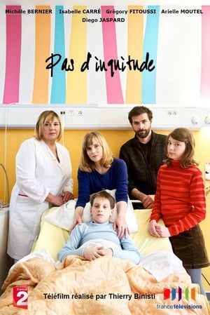 Poster Pas d'inquiétude 2014