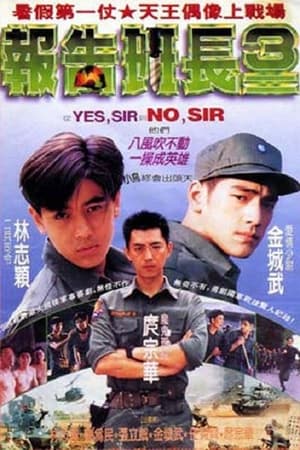 Poster No Sir 1994