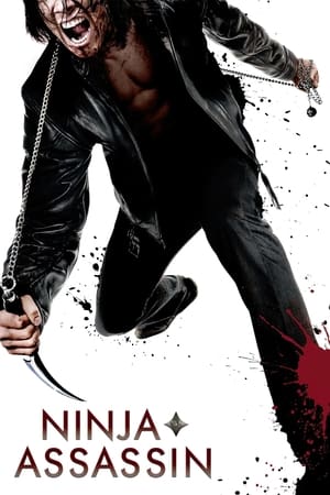 Image Ninja Assassin