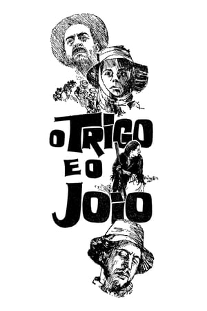 Image O Trigo e o Joio