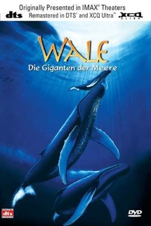 Poster Wale: Die Giganten der Meere 1997