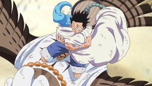 One Piece: Season 20 Episode 884