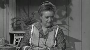 The Andy Griffith Show Aunt Bee's Brief Encounter