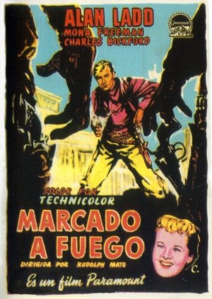 <Images posters