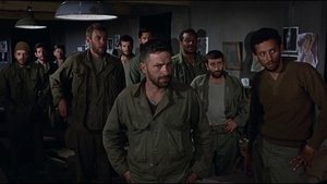 The Dirty Dozen