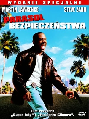 Parasol bezpieczeństwa (2003)