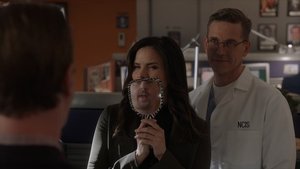 NCIS – Unità anticrimine: Stagione 20 x Episodio 12