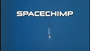 Spacechimp