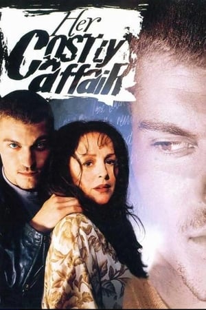 Poster Liaison Coupable 1996