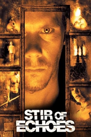 Poster Stir of Echoes 1999