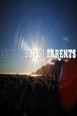 Poster Animal Super Parents 2015