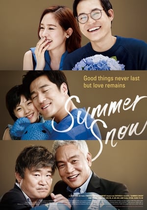 Poster Summer Snow (2015)