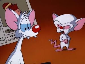 Pinky & der Brain: 3×13