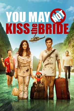 Poster You May Not Kiss the Bride 2011