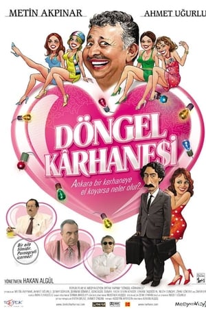 Döngel Kârhanesi poster