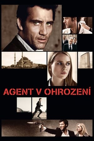 Agent v ohrození (2009)