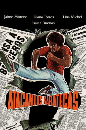 Atacan los karatecas 3